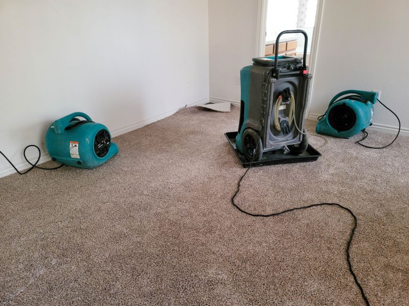 Cleanup After Water Damage