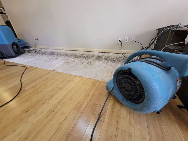 Water Damage Mitigation in Columbia