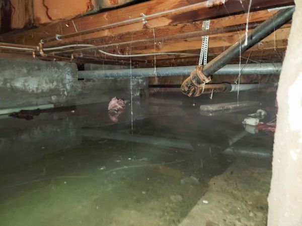 Water Mitigation Service in Columbia